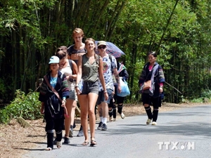 Vietnam - popular destination for British tourists